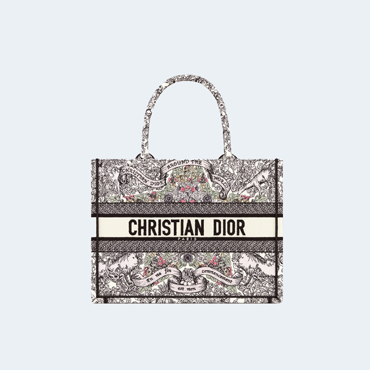 디올 Dior Around the World 북 토트 미디엄 백