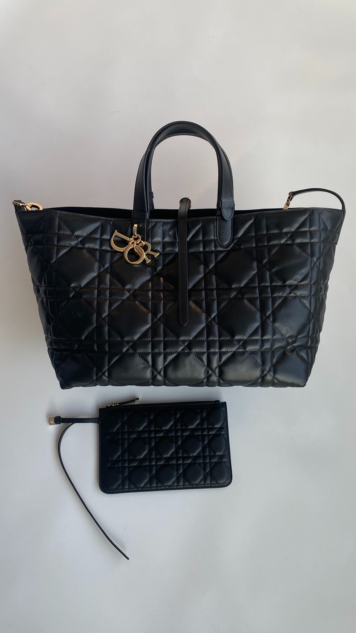 디올 Toujours 라지 백