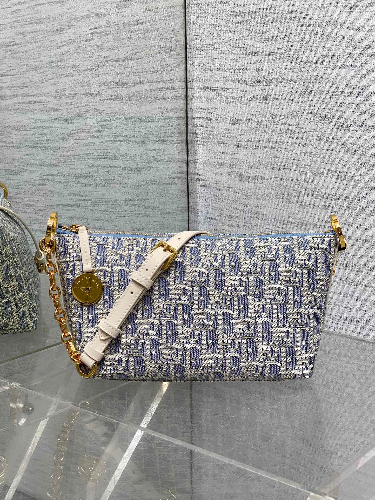 디올 오블리크 스타 페인 호보 백