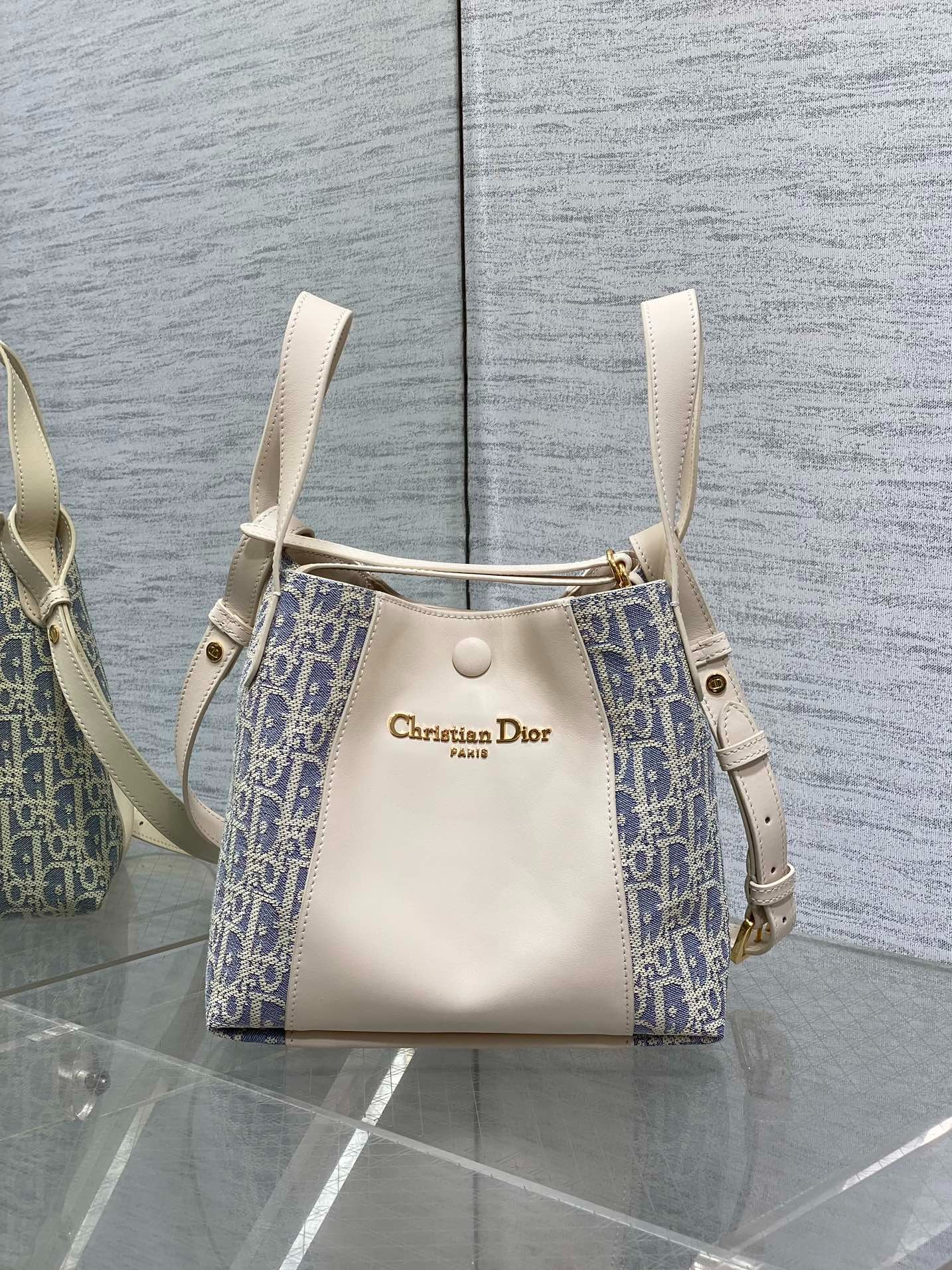 디올 블루 오블리크 스몰 백