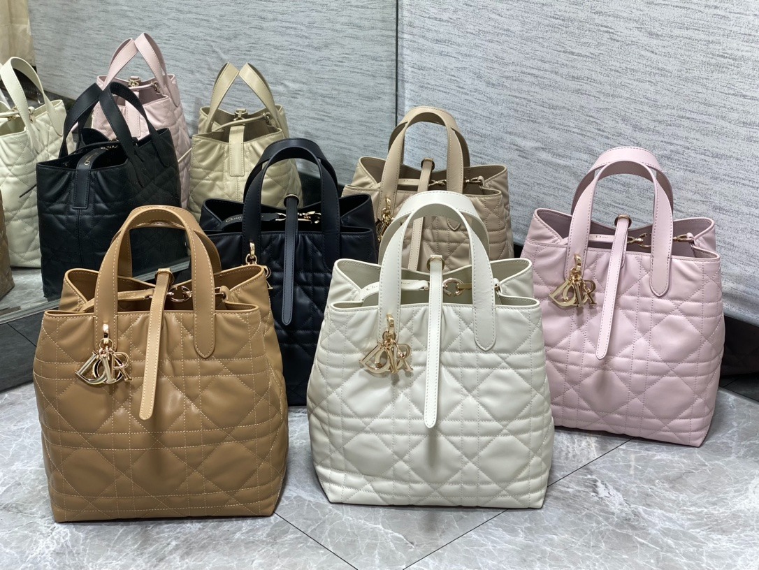 디올 뚜주흐 버티컬 토트백