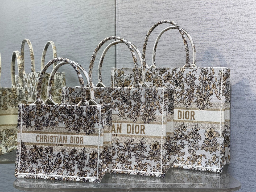 디올 Book Tote 백
