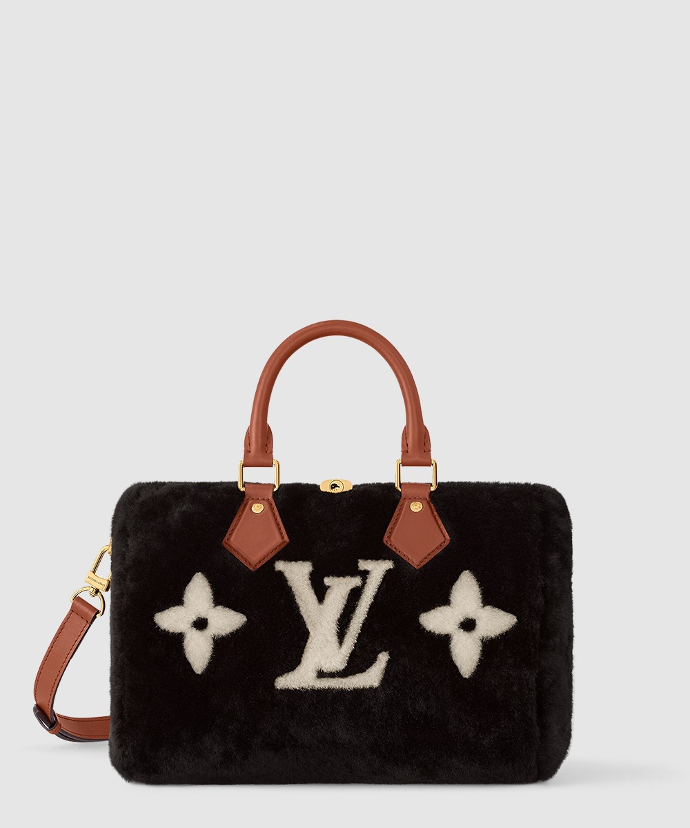 루이비통 스피디 반둘리에 25 M11797