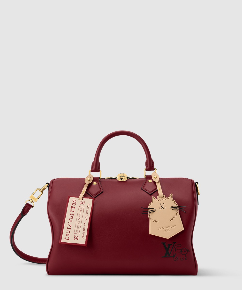 루이비통 스피디 소프트 30 M25766