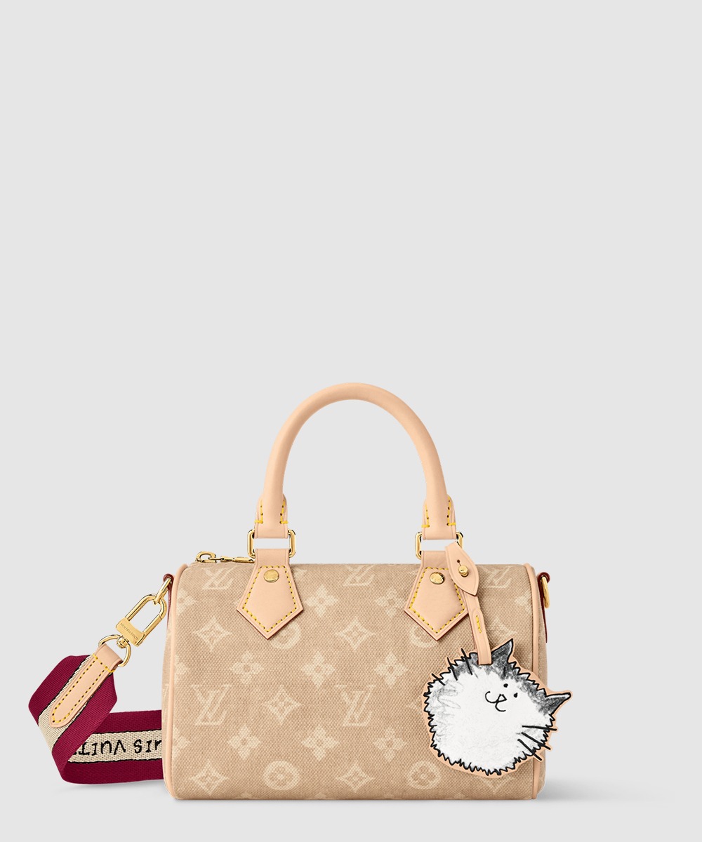 루이비통 스피디 반둘리에 20 M15151