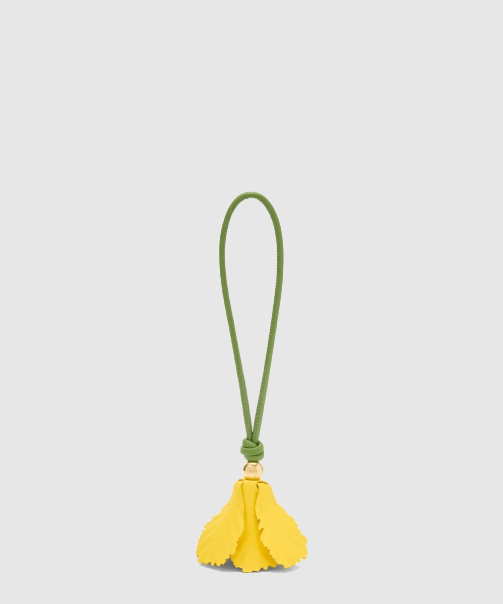 로에베 튤립 참