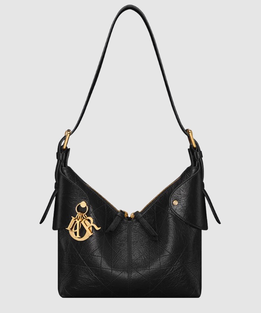 디올 Voyage 스몰백 M2845