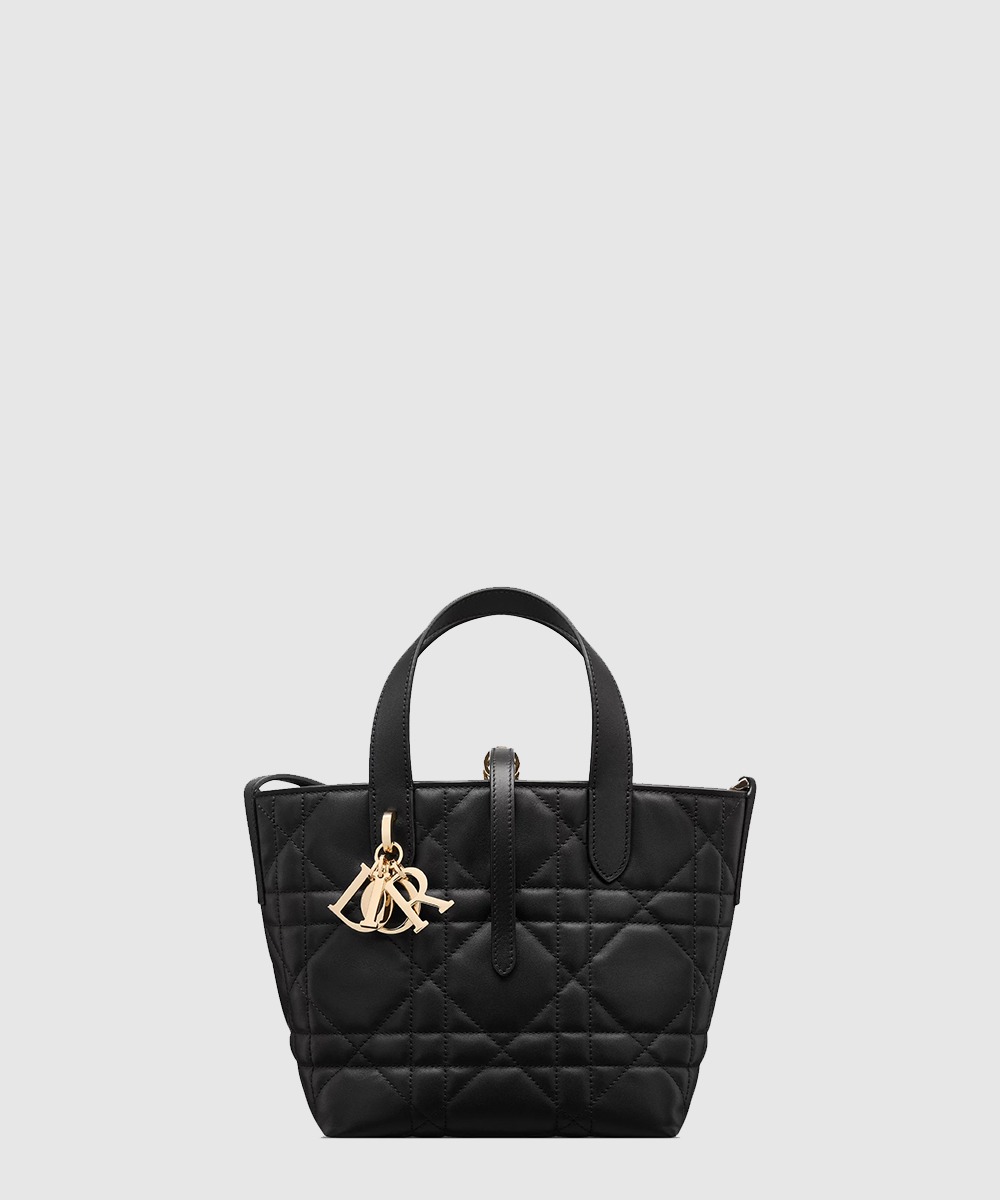 디올 Toujours 스몰 버티컬 토트백 M2835