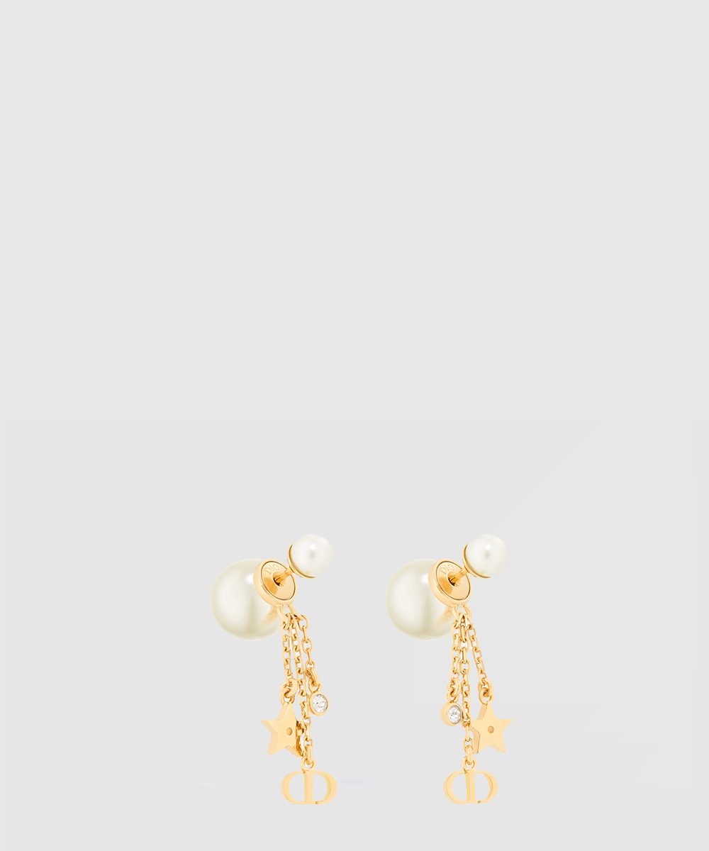 디올 Tribales 귀걸이 E4274